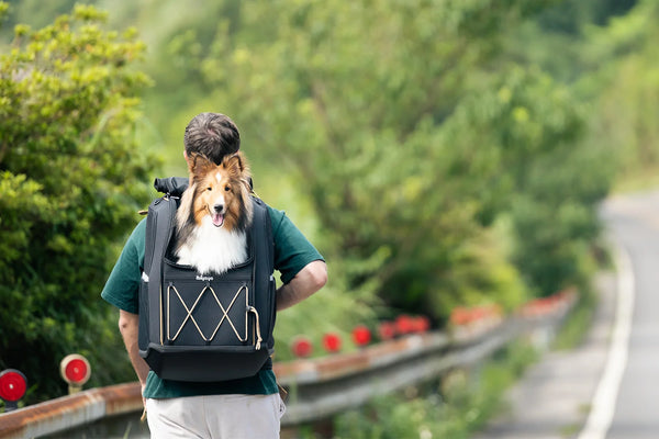 Ibiyaya Champion Large Backpack Dog Carrier-Silver-Circle-Pets