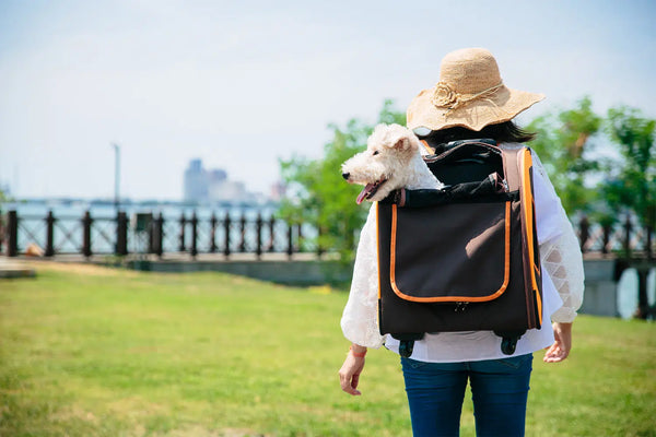 Ibiyaya Liso Rolling Pet Carrier Backpack  - Silver Circle Pets