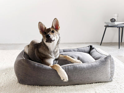 Laboni Orthopaedic Dog Bed Uno Dog Bed Laboni Silver Circle Pets 