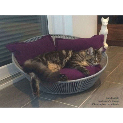 Pet Interiors Unique Cat Basket SIRO Twist Cat Bed Pet Interiors Silver Circle Pets 