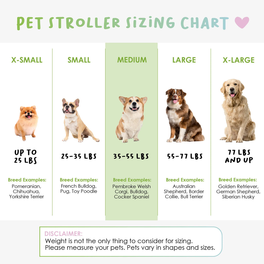 petique size chart - silver circle pets