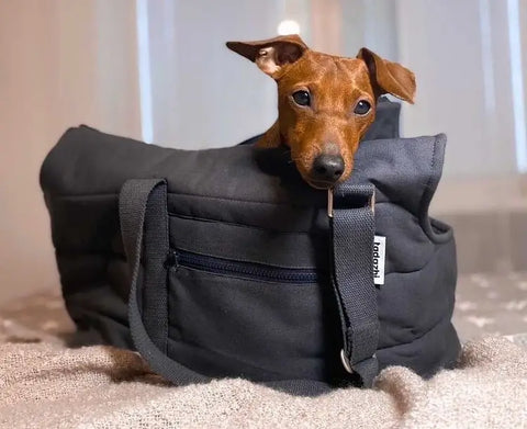 tadazhi rio pet carrier