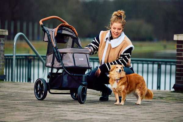 innopet premium cozy dog stroller