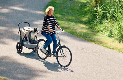 innopet sporty evolution dog trailer - silver circle pets