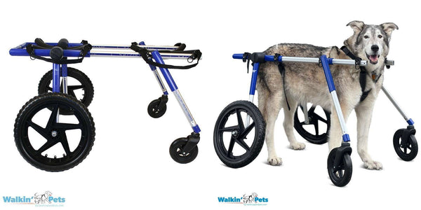 a side by side comparison of the 4-wheel dog wheelchair and how it fits your dog