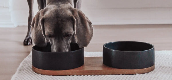 vuku dog bowls labbvenn - silver circle pets