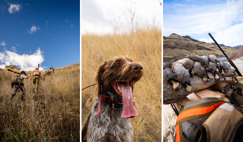 Chukar Hunting