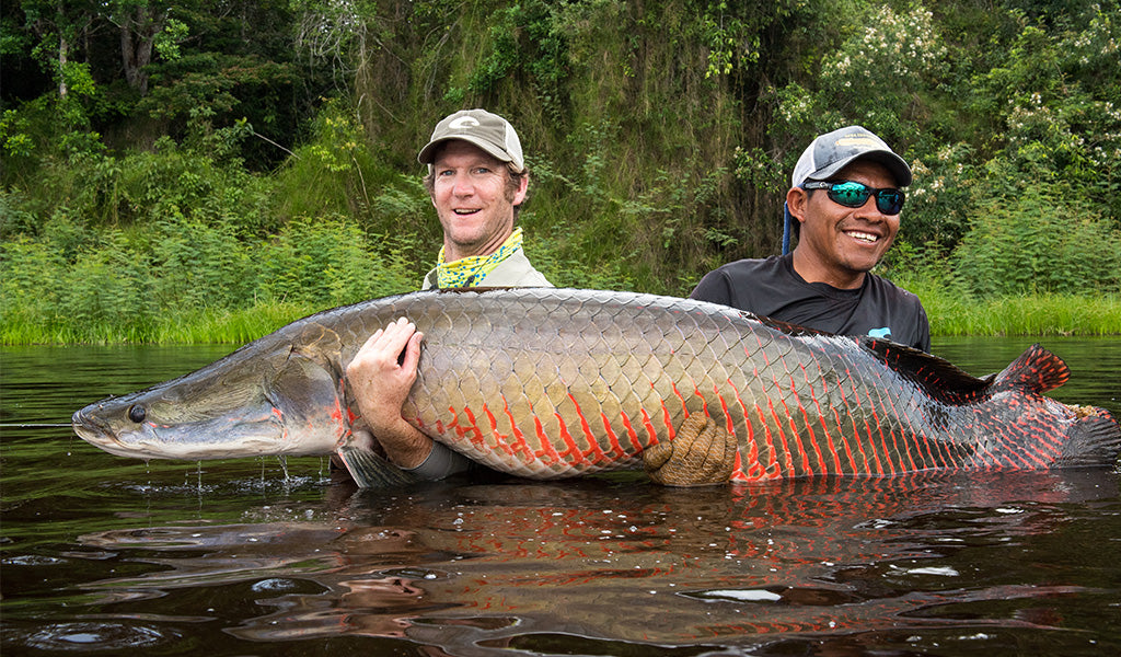 The author (left) with his largest arapaima