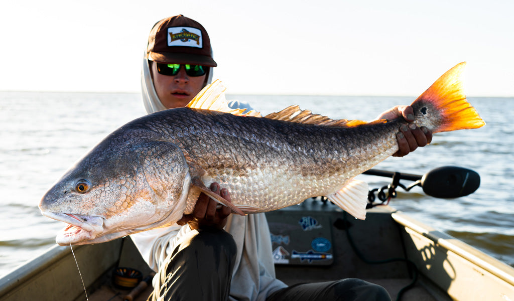 Redfish Article 2