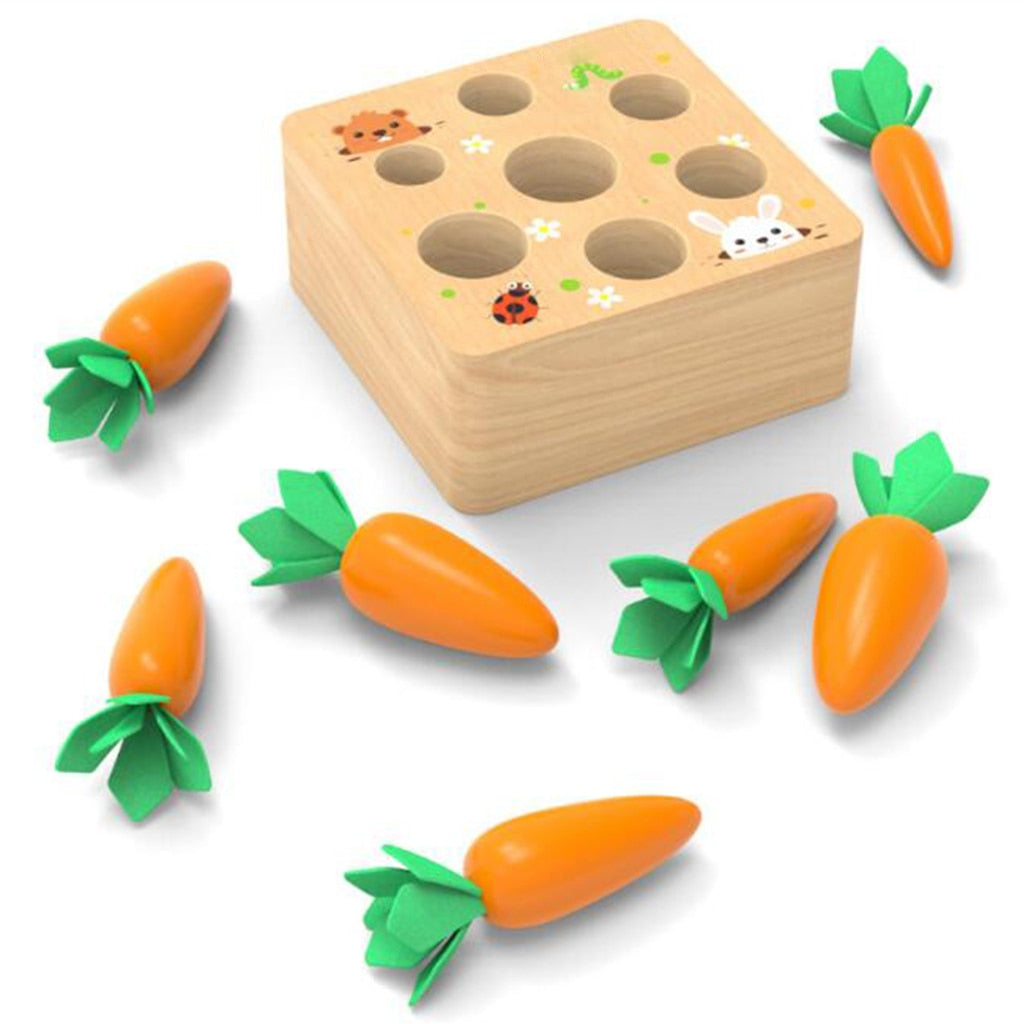 wooden carrot puzzle