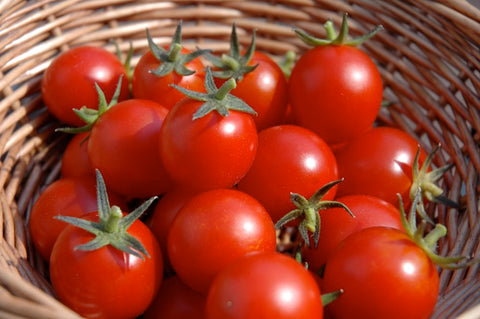 5 Heirloom Tomato Varieties that Embody the Essence of Summer - Happy Dirt