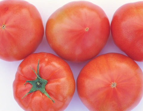 Flora Lou Tomato - 1