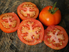 Stupice Tomato - 1