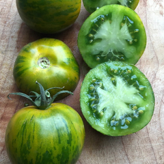 Green Zebra Tomato - 2