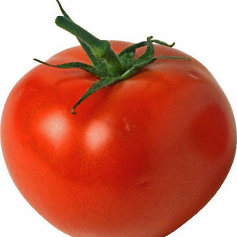 Graf Zeppelin Tomato - 1