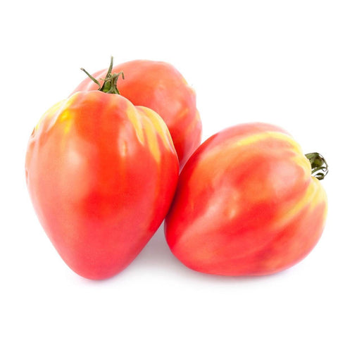Oxheart Tomato - 1