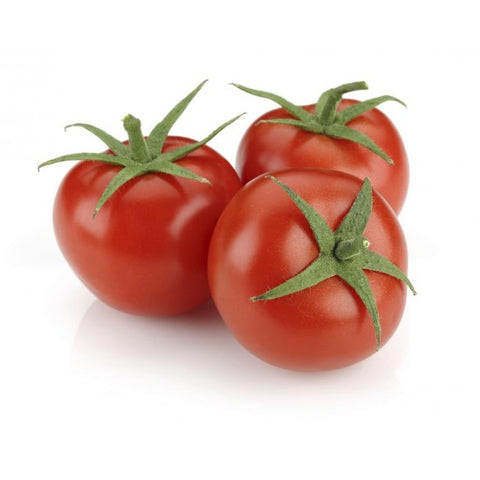 Red Cloud Tomato - 1