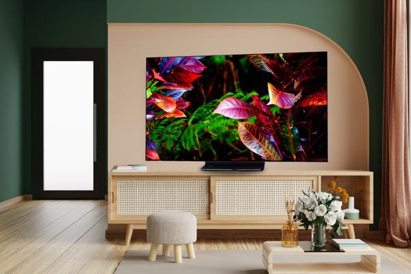 LG C2 OLED TV