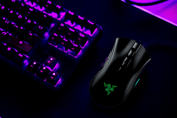 Razer DeathAdder V2 Pro