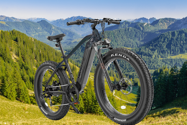 mountain e-bike