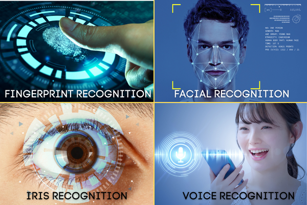 types of biometric authentication