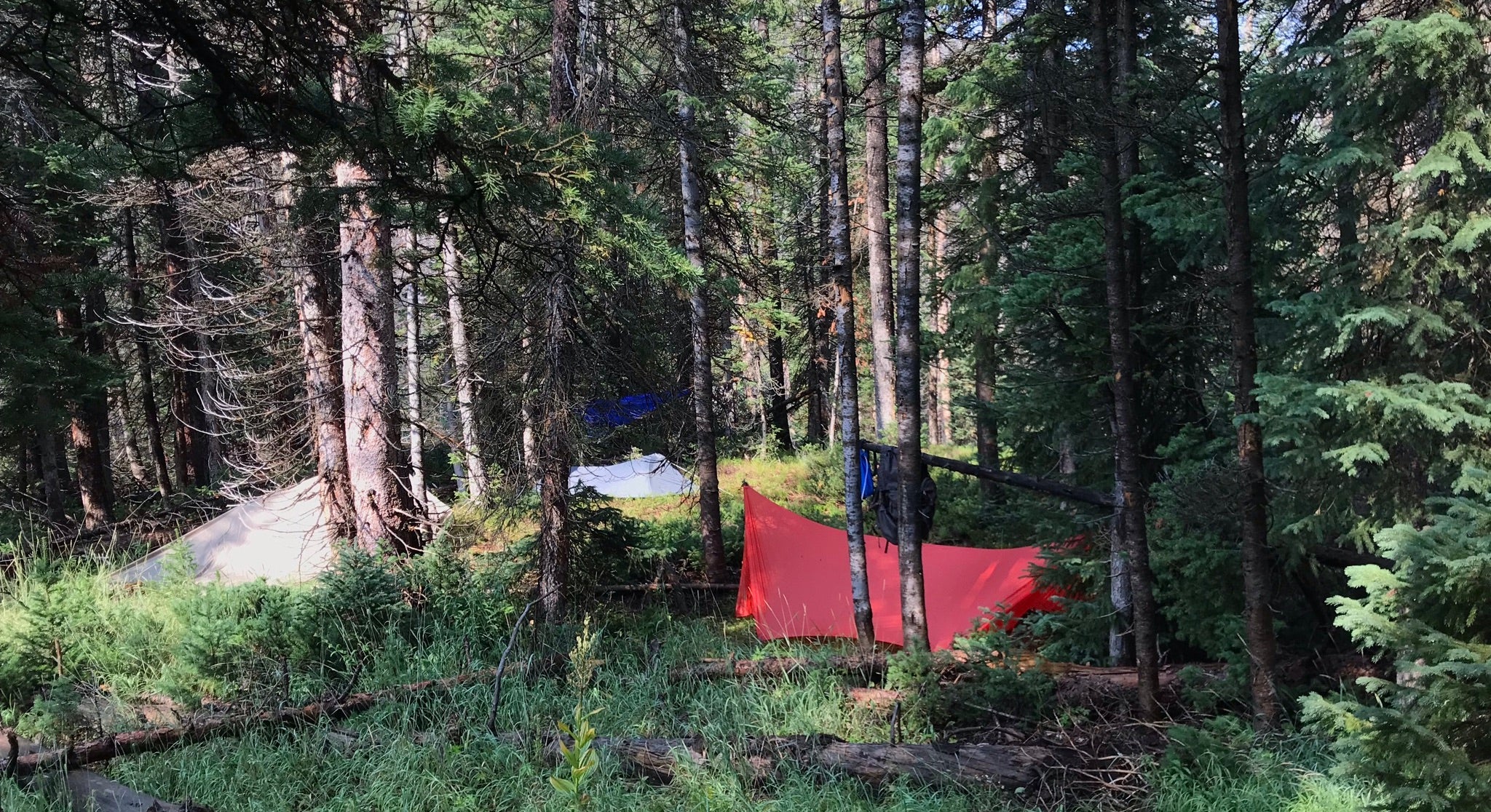 survival camping gear