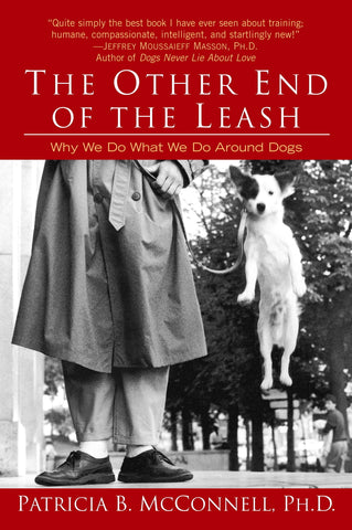 Reading Recommendations from a Former Librarian - The Other End of the Leash