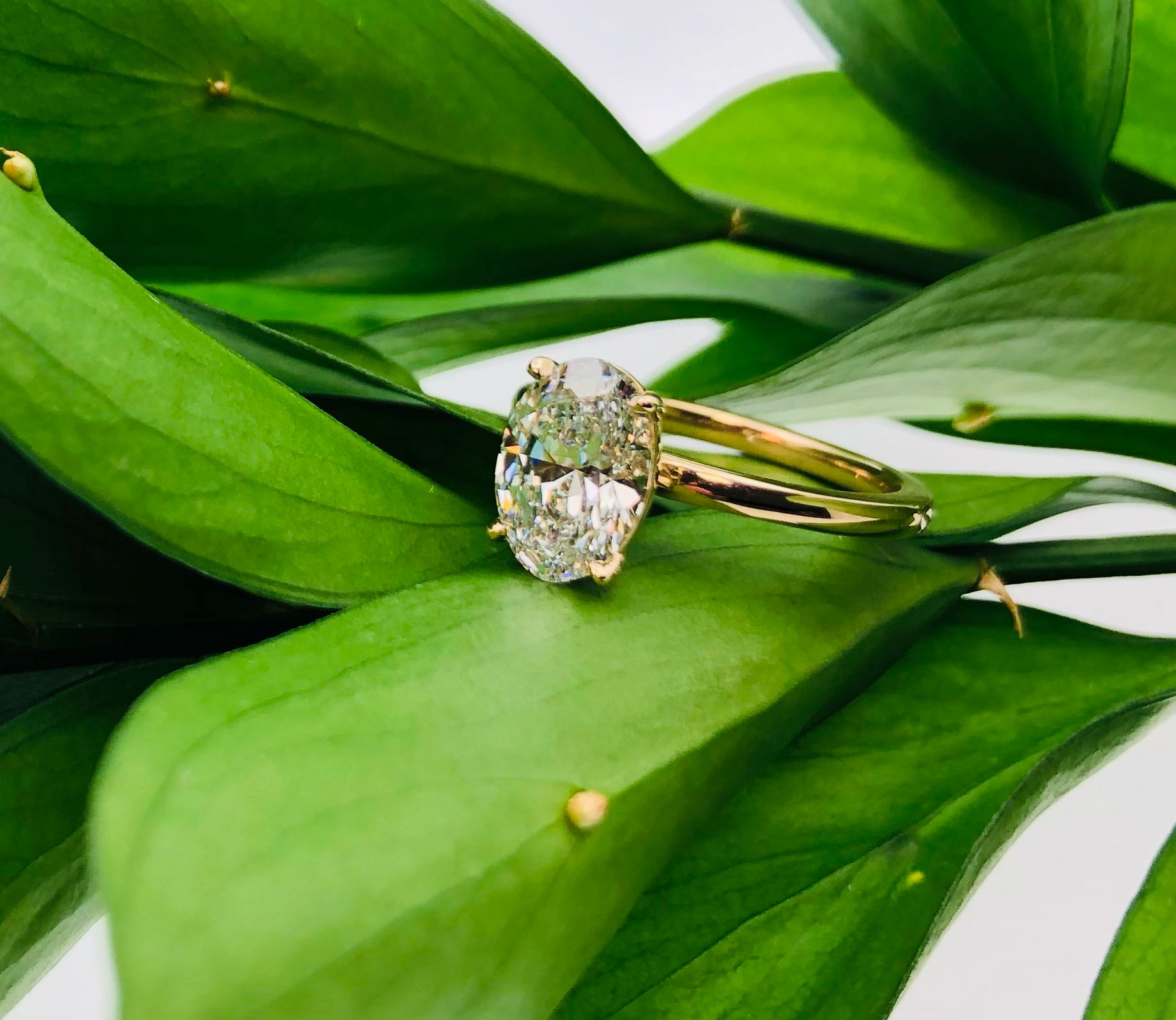 Promise Ring Meaning  Everything You Need to Know (+ Ring Ideas!) – Padis  Jewelry