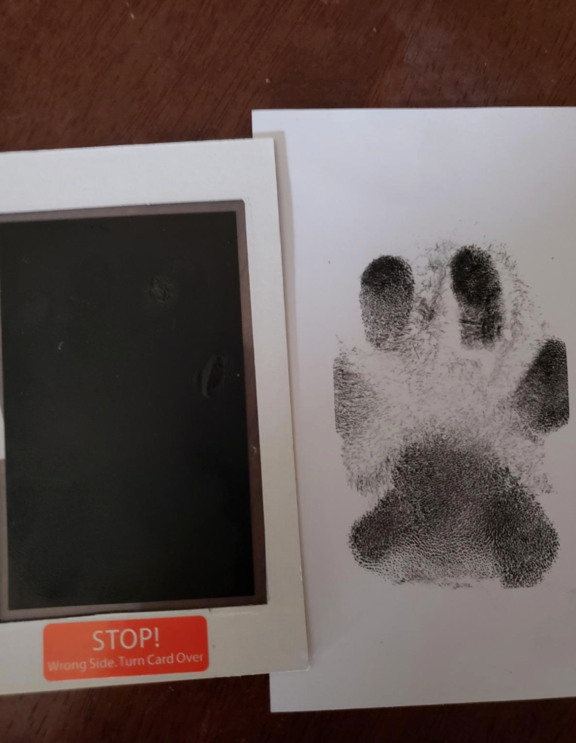 Paw Print Stamp Pad – Silly Doggo