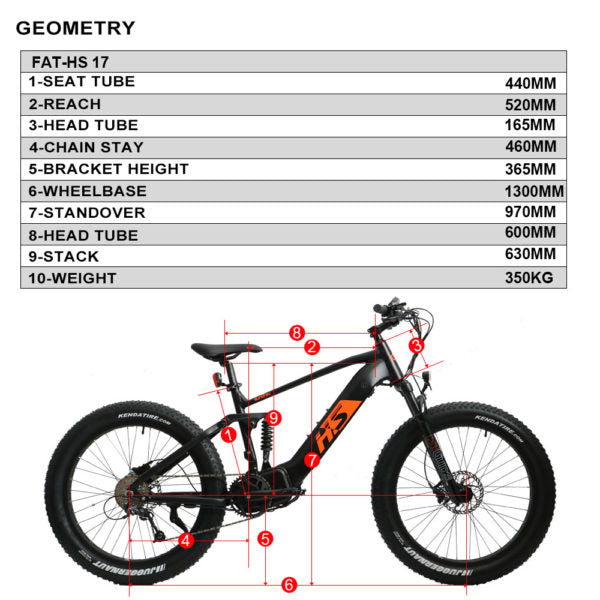 eXcursion Fat Tire 1000W EMTB