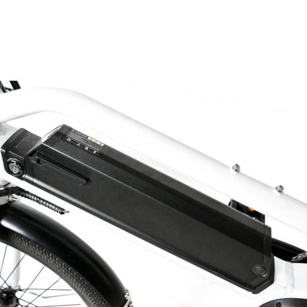 Cargo Max eBike Battery