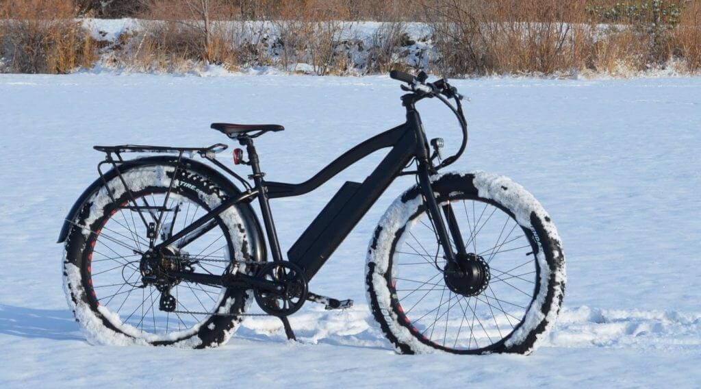 Dual Motor eBikes