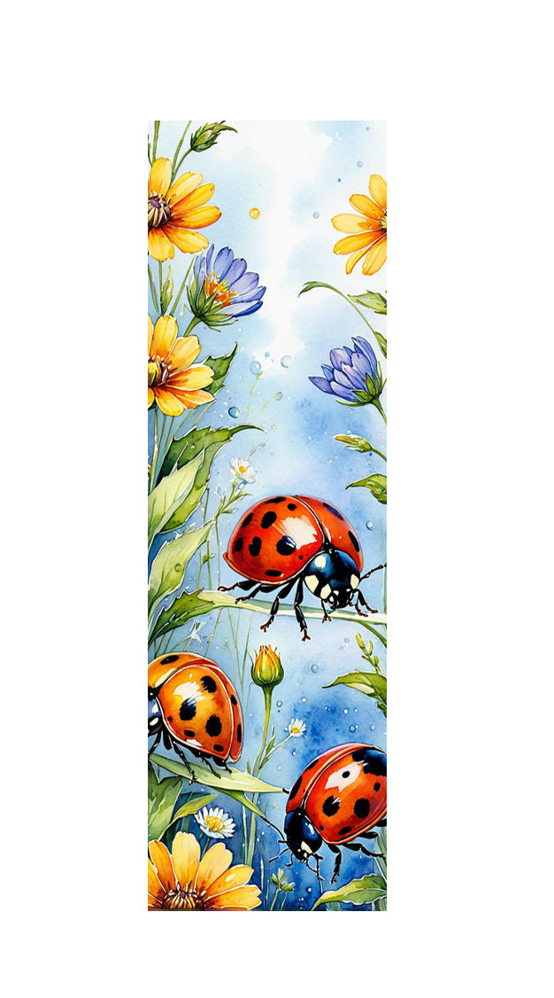 LADYBUG 1