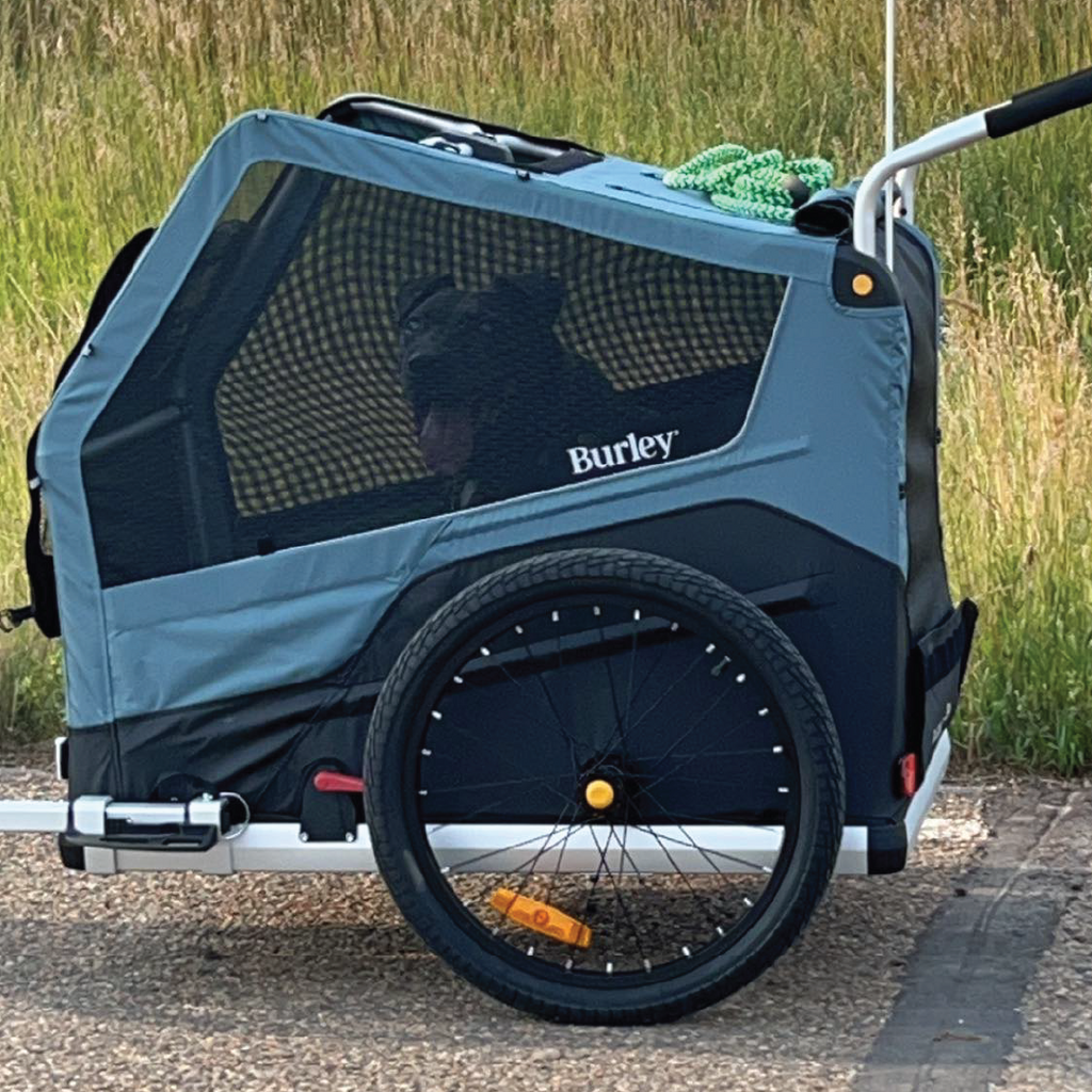 Tuffy in the Bark Ranger Pet Bike Trailer