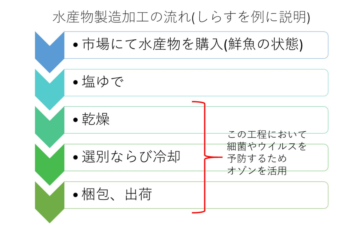 水産物製造加工の流れ