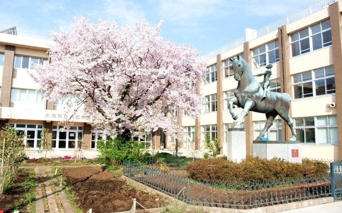 大和市立大和中学校の外観