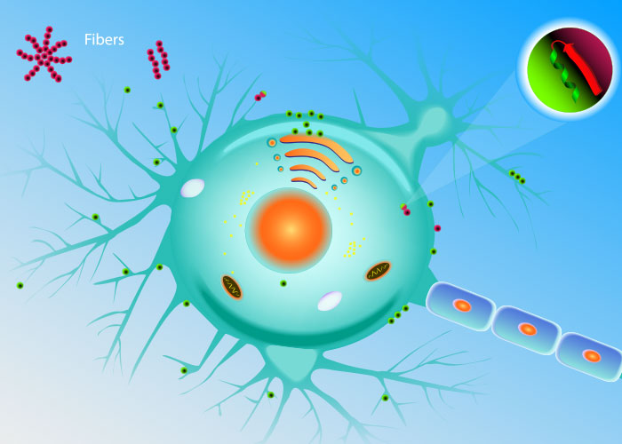 プリオンイメージ画像 プリオンイメージ画像