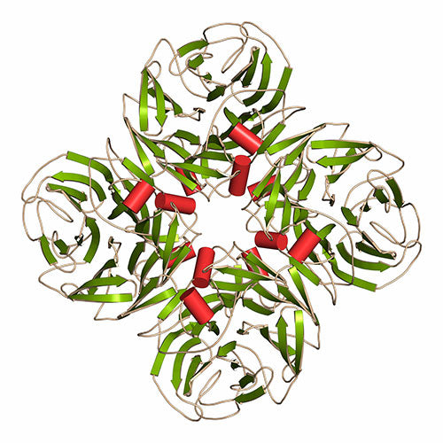 イメージ画像 イメージ画像