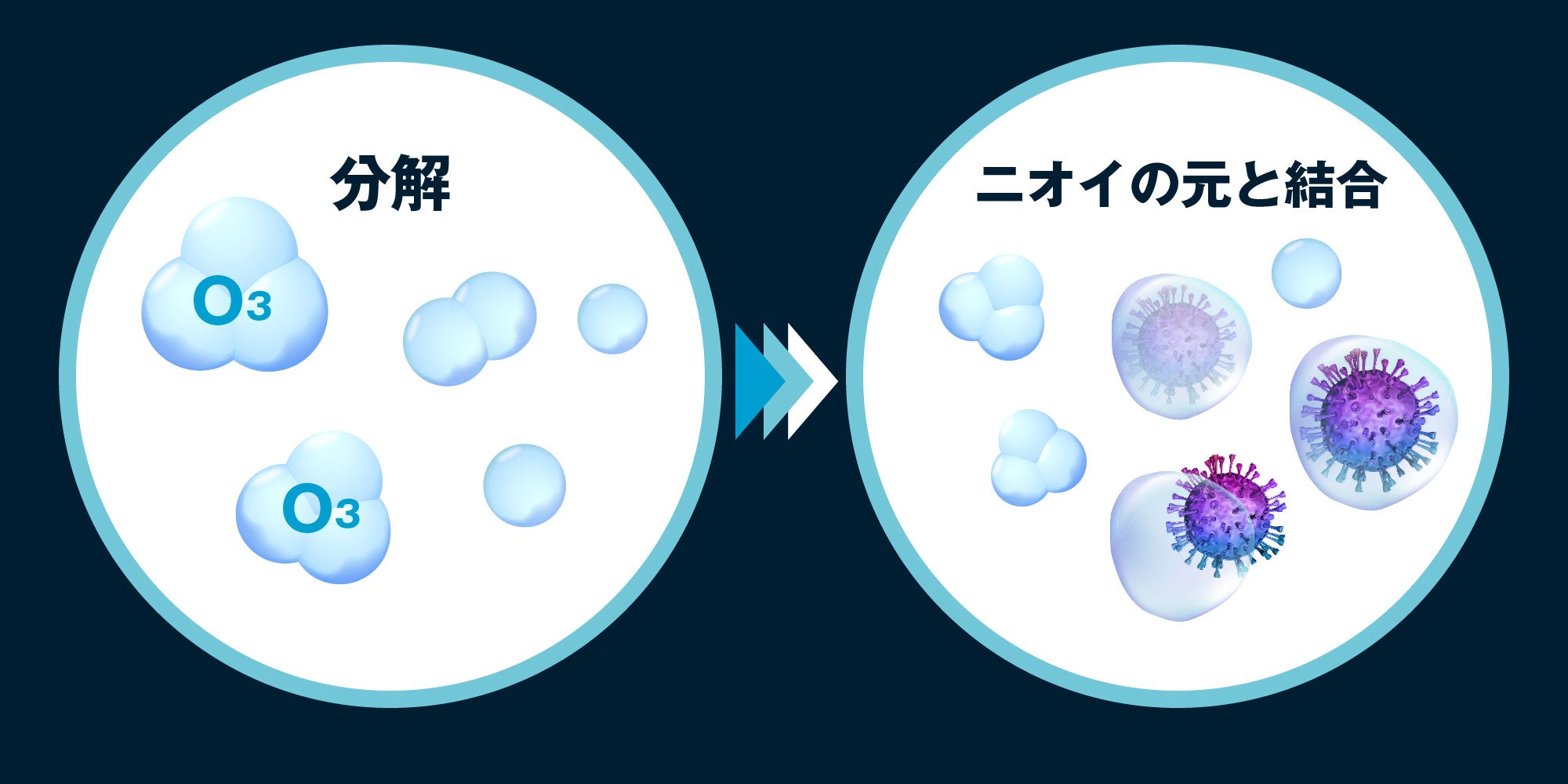 分解→ニオイの元と結合