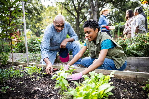 Community garden exchange