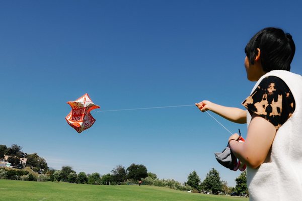 Kite-flying picnic