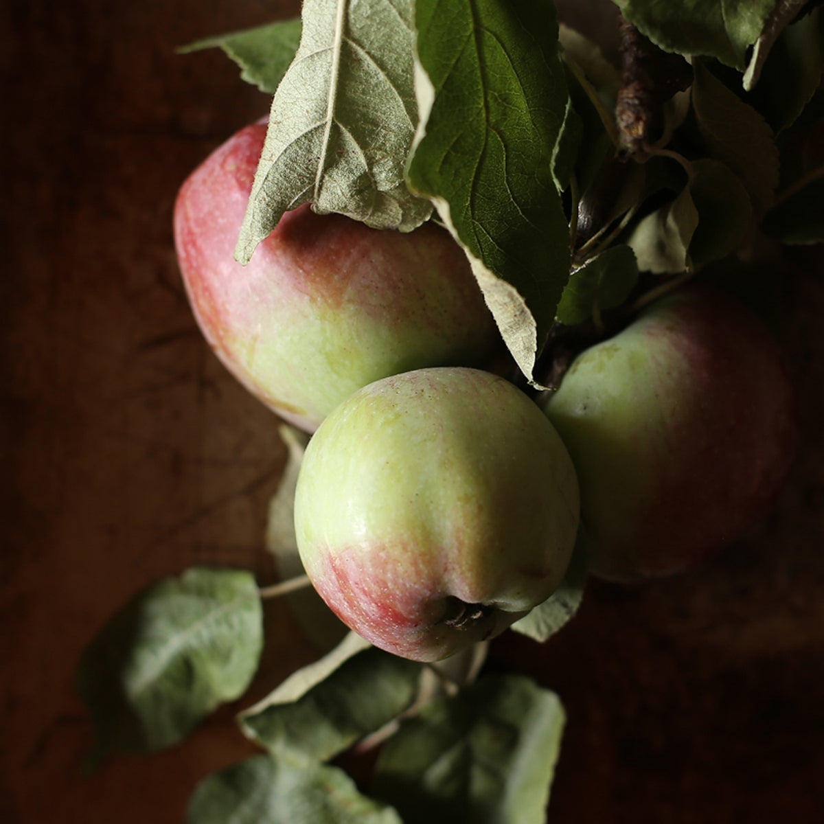 Ruby Spiced Apple Shrub