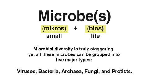 Definition of microbes.