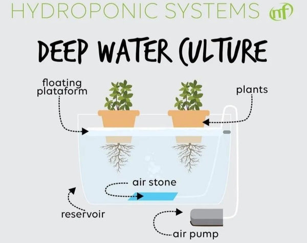 The Different Types Of Hydroponic Systems – Growers Hub