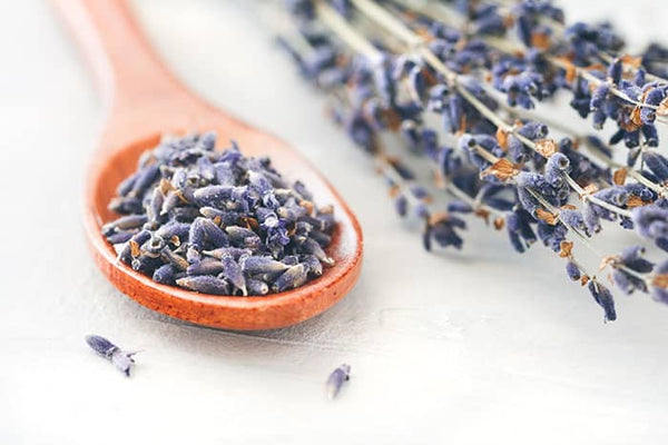 Tucson Tea Lavender 