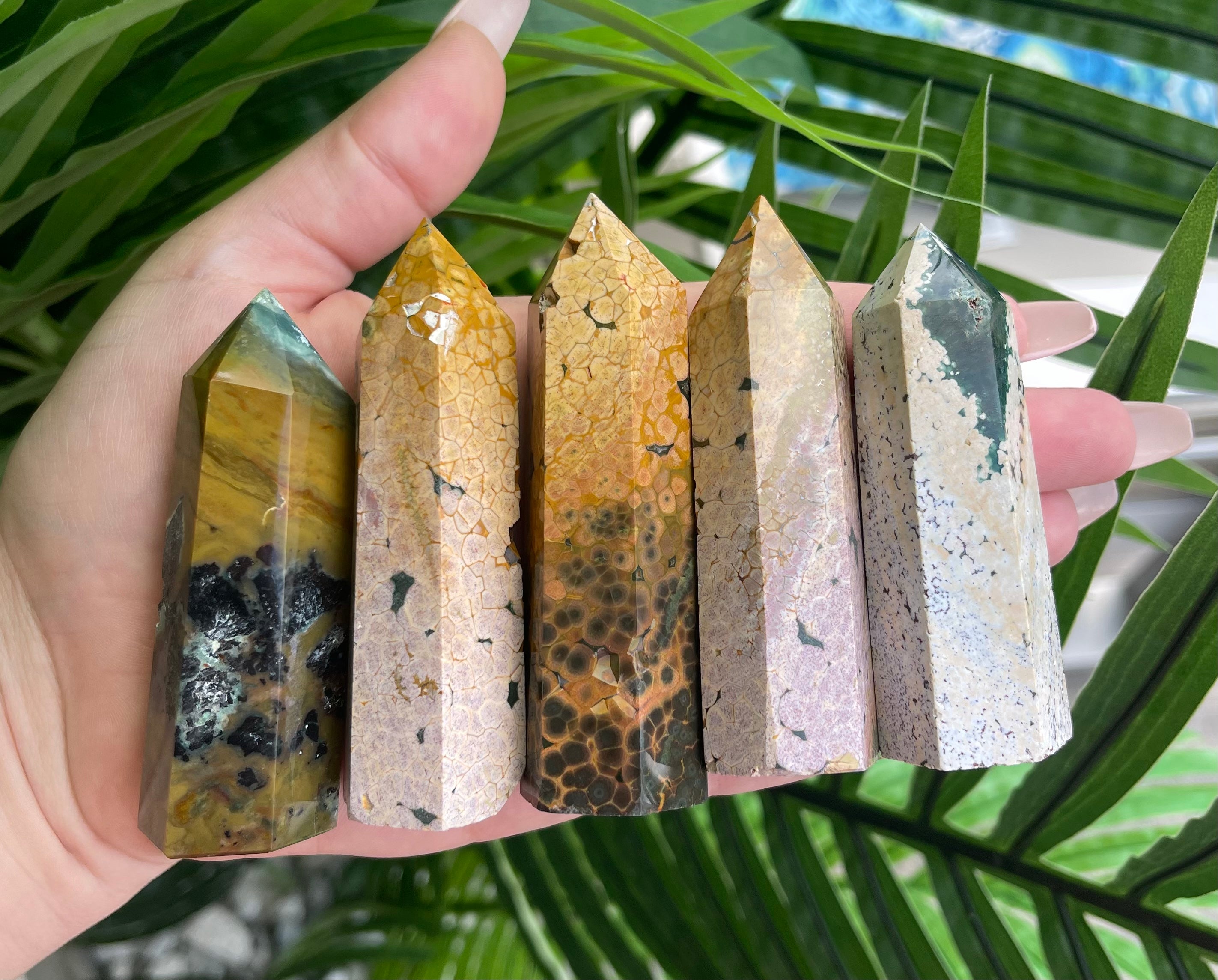 Ocean Jasper Towers