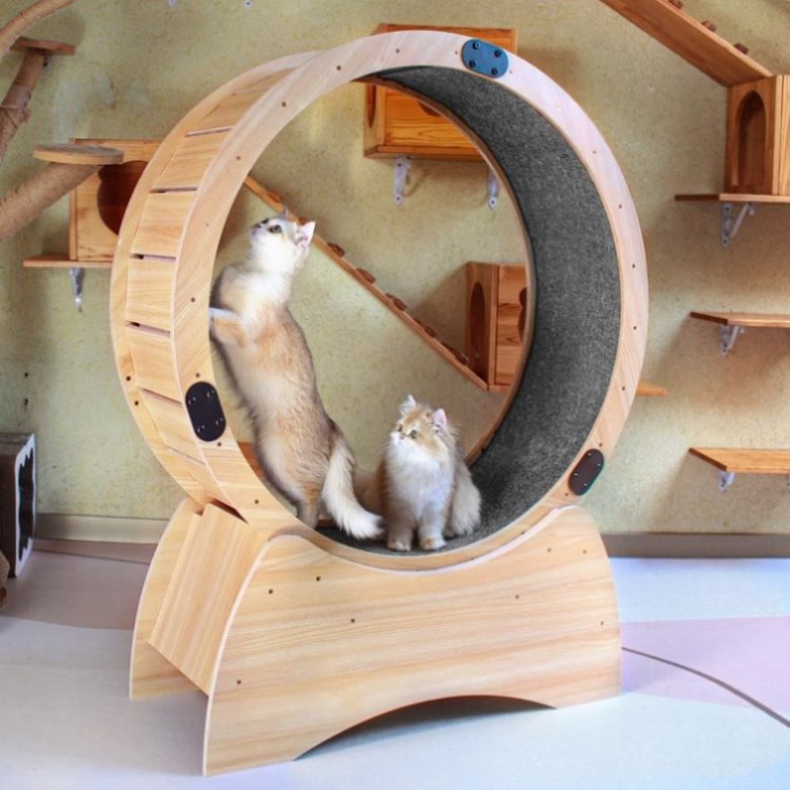 ZUN Cat Exercise Wheel – Running, Spinning, and Scratching Fun, Cat Treadmill with Carpeted Runway, 16614570