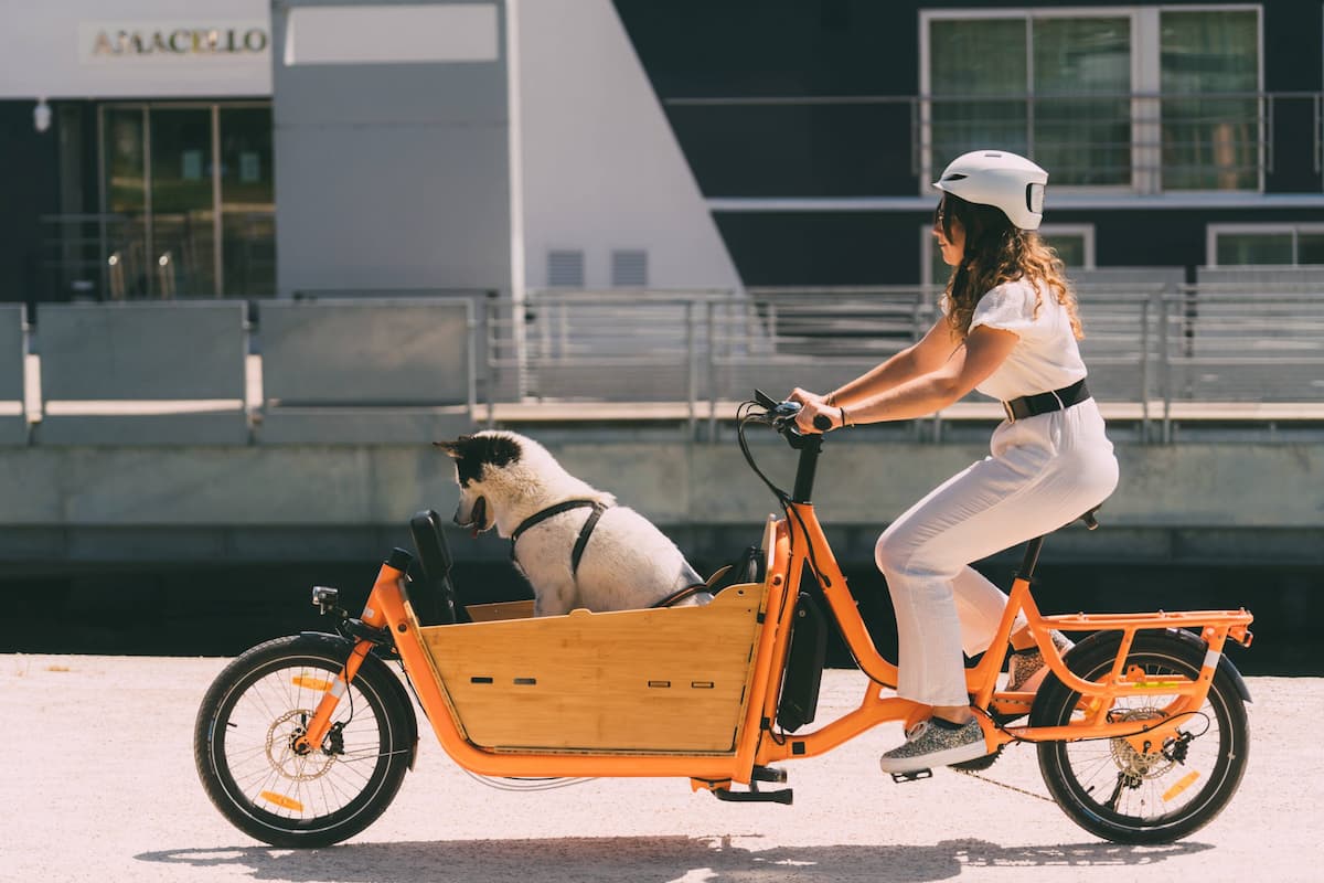 Vélo cargo avec remorque pour le chien