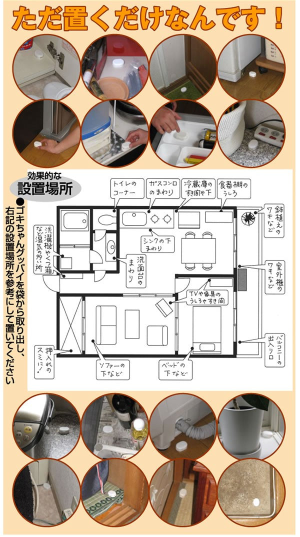 ゴキブリの駆除・退治