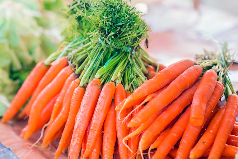 fresh carrots in carrot seed oil